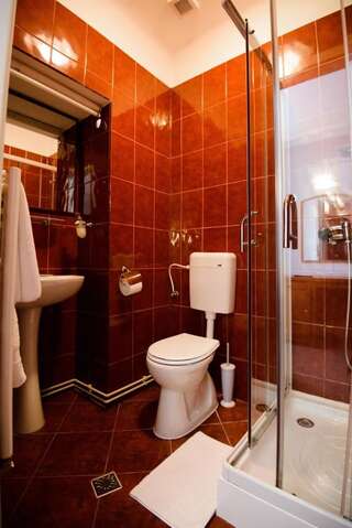 Гостевой дом Residence Piata Sfatului Брашов Люкс с 1 спальней-5